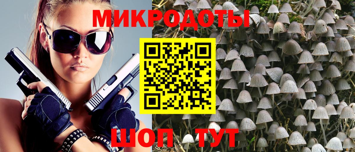 Псилоцибиновые грибы Psilocybine cubensis Бахчисарай